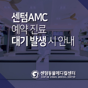  센텀동물메디컬센터 예약 진료 대기 발생 시 안내 / 부산 석박사 분과전문진료 동물병원