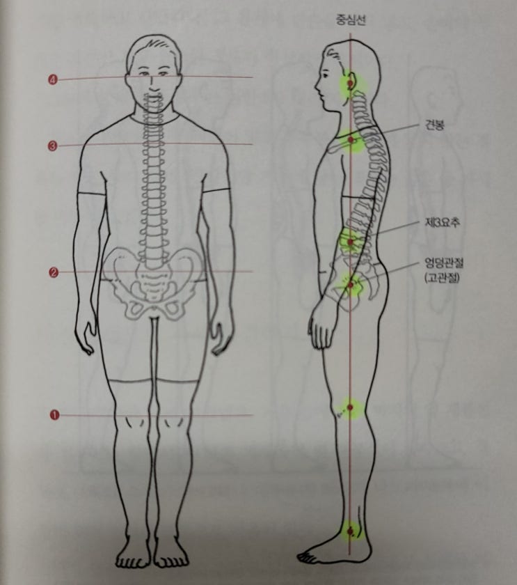 목, 허리, 어깨, 무릎 등 근골격에 통증이 있다면?