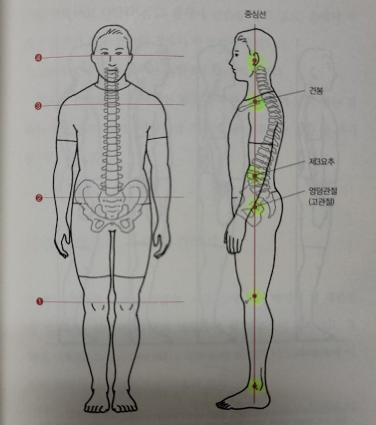  목, 허리, 어깨, 무릎 등 근골격에 통증이 있다면?