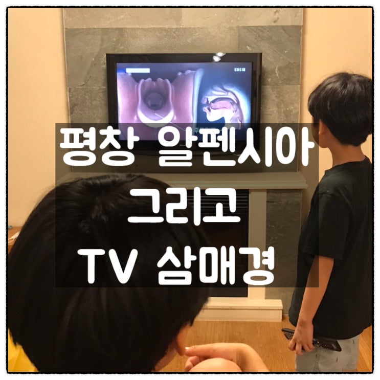  평창 알펜시아 리조트에 놀러와서 TV 삼매경에 빠진 아들내미들