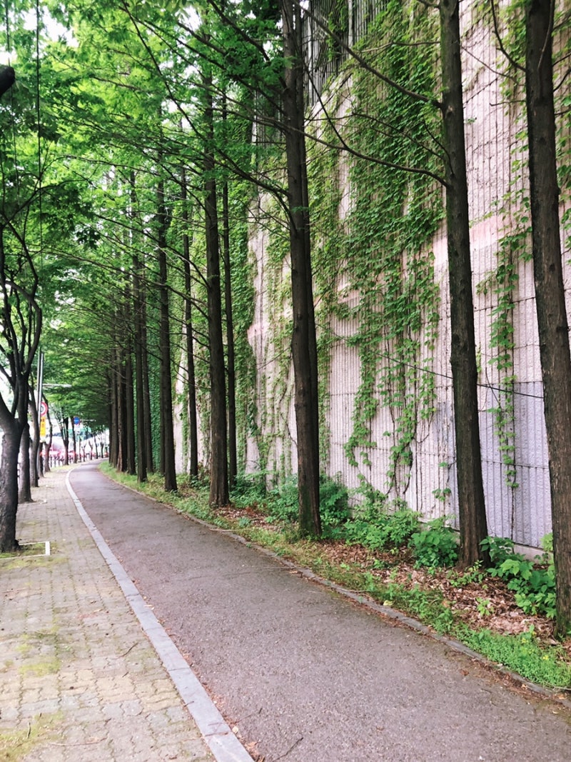 6월 2주 일기 : 네이버 블로그