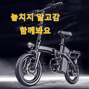  정직한 전기자전거 꿀템 만족스럽네요 ㅎㅎ
