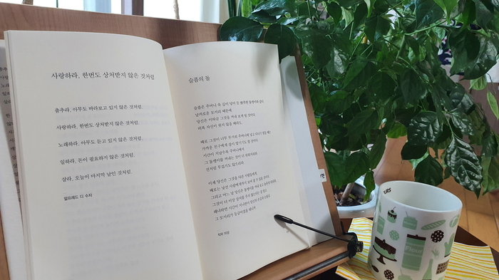  더비비고 건강독서 릴레이 4일, 사랑하라, 한번도 상처받지 않은 것처럼