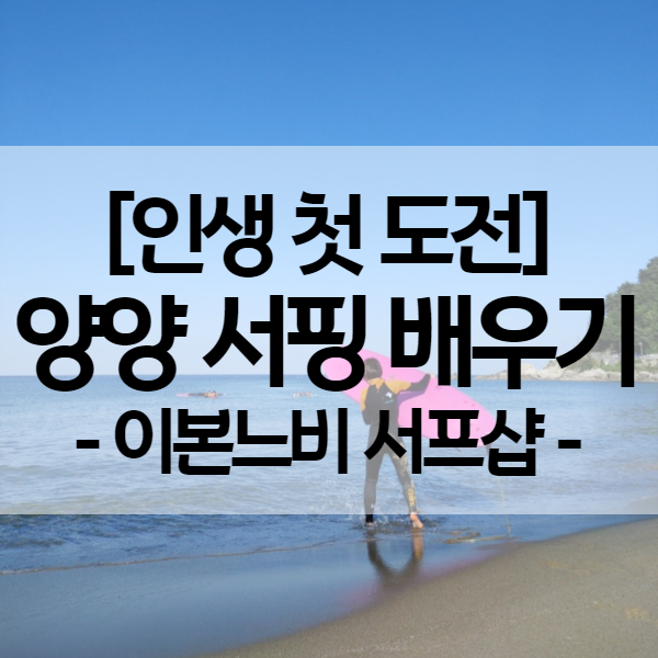  양양 서핑 배우기 - 죽도해변 이본느비 서프샵 강습 후기