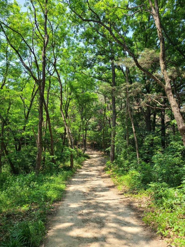 대전 가볼 만한 곳 도안동/가수원동/도안아이파크 쪽 입구에서 소태봉, 옥녀봉 등산 후기