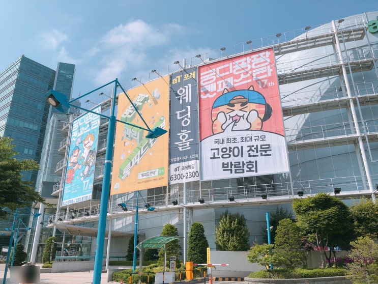  17회 궁디팡팡캣페스타 궁팡 서울 6월 12일 토요일 후기 사진 많음 주의