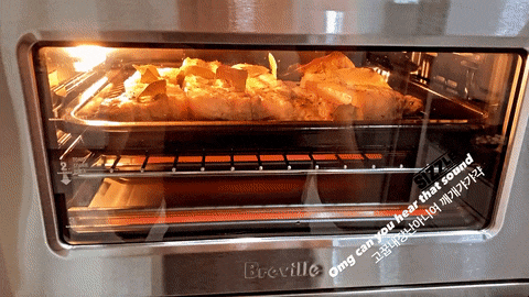  <브레빌오븐 BOV820> Breville 내돈내산 6개월 사용 & 추천!