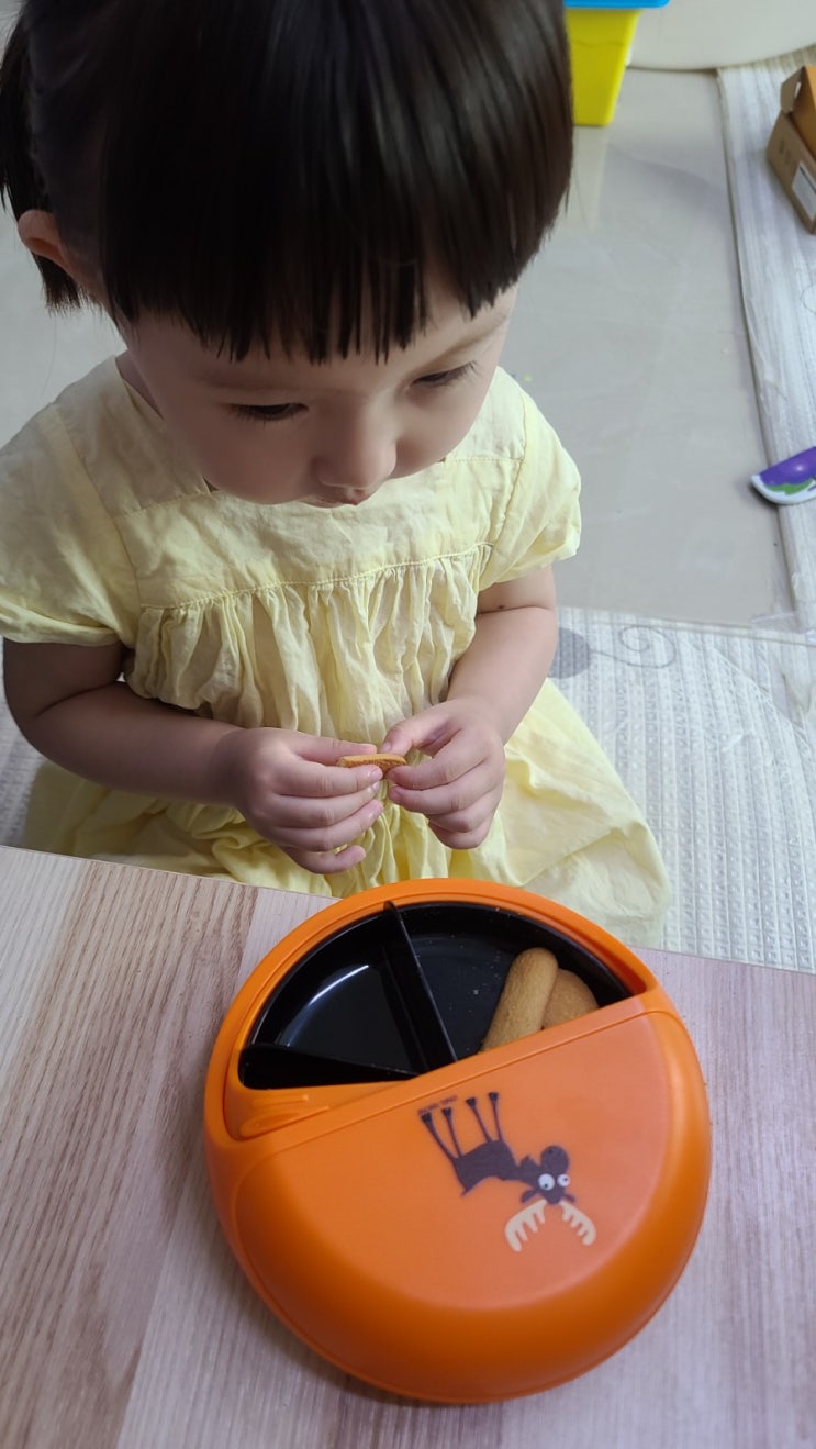  24개월 육아일기 바쁜 하루