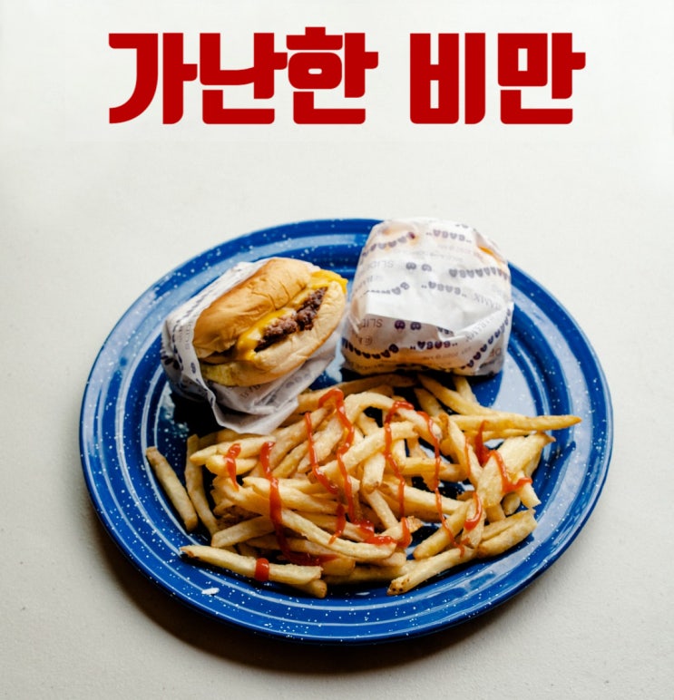  비만은 가난을 먹고 자란다? 고도비만 소득의 관계