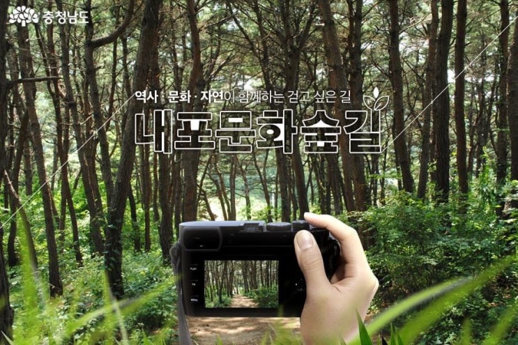 충남 가볼만한곳 역사 문화 자연이 함께하는 걷고 싶은 길 내포문화숲길 | 충남도청페이스북