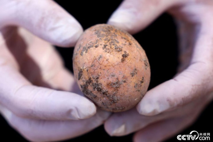 "이스라엘, 발굴 된 1,000년 전 달걀" CCTV HSK 생활 중국어 신문 기사 뉴스 공부