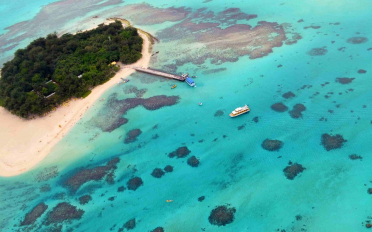 괌 사이판 코로나 종료 에어서울 아시아나항공 여행 노선 재개 주 2항차