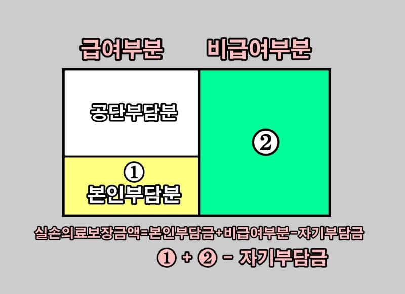 선량한 실손실비 전환을 알고 계십니까?차이를 알고 본인부담금이 늘어나기 전에 의료실비보험에 가입하는 것 2