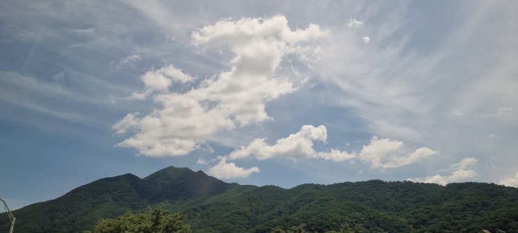  남양주 갔다오기~~~