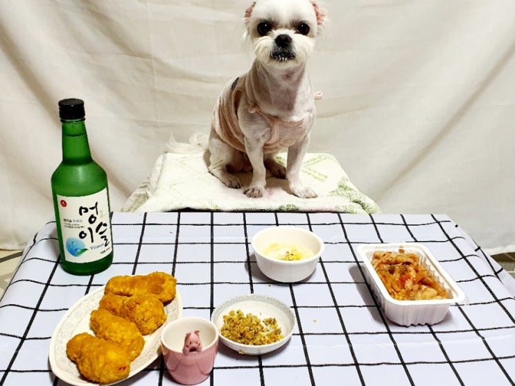  오늘 산책과 구눈누 포차 오픈~예약하고 놀러 오세요