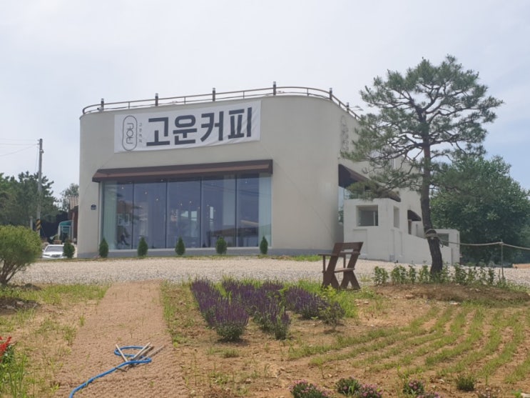  파주 운정 교하 언덕 위의 카페 고운커피 가봤어요