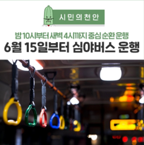 천안시, 심야버스 '노선10번' 오는 6월 15일 운행 개시 | 천안시청페이스북