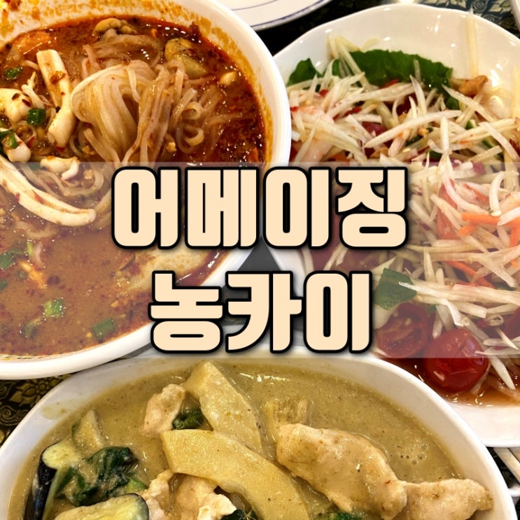  홍대 합정 태국 타이 요리 음식 전문점 맛집 추천 어메이징 농카이 어메이징 타일랜드