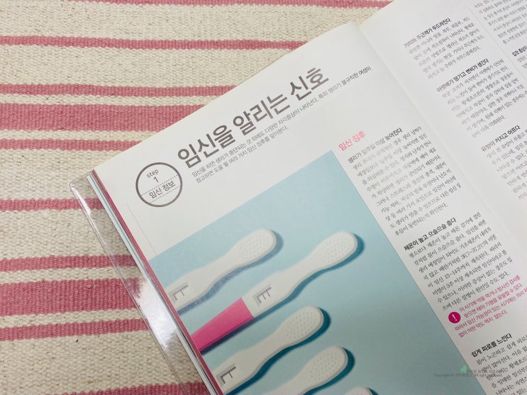 얼리 임테기 임신테스트기 사용시기 사용법 / 임신 착상혈 시기, 극초기 증상 얼리 임테기 임신테스트기 사용시기 사용법 / 임신 착상혈 시기, 극초기 증상