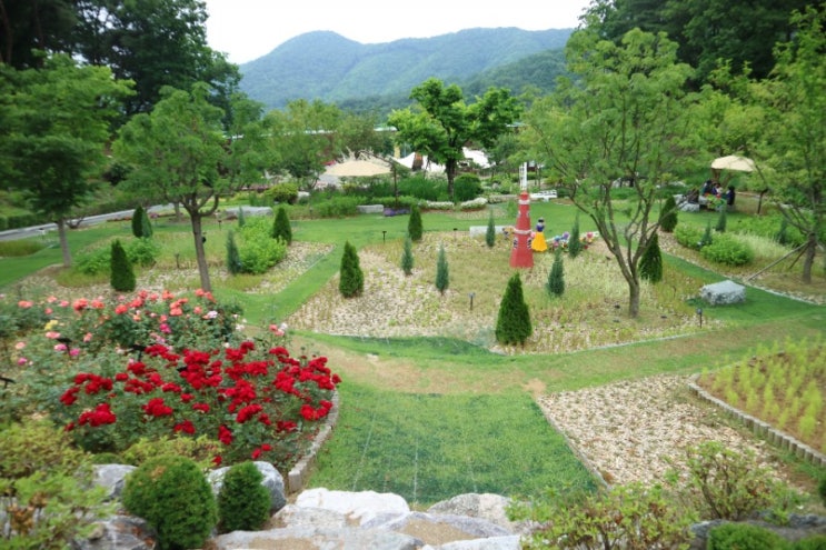 원주 비올때 가볼만한 곳 : 동화마을수목원, 입장료 무료라니?