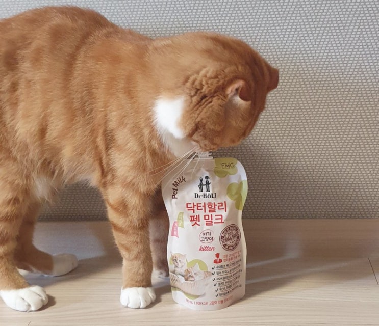 [닥터할리] 펫밀크 키튼, 고양이도 즐겨 먹을 수 있는 저지방 우유