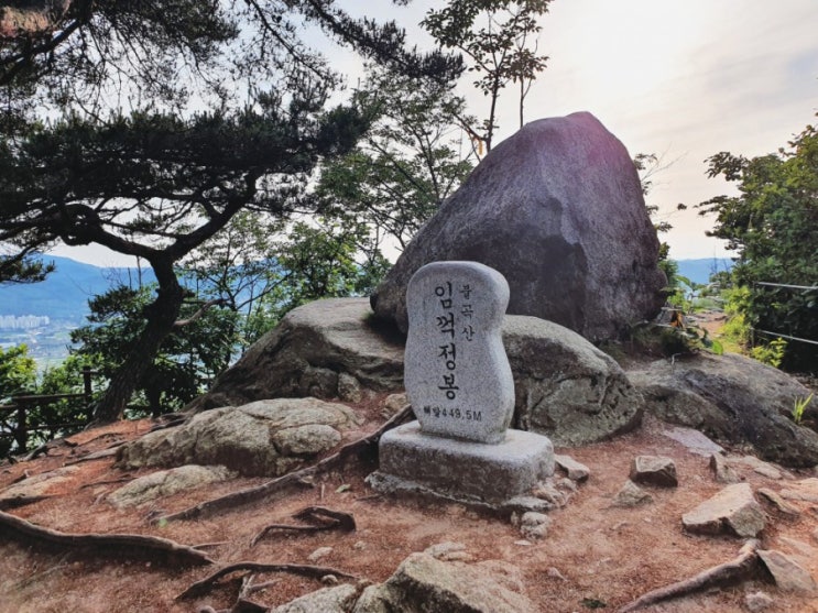  [직장인 100일 다이어트 바디프로필] 바디프로필 준비 48일차 D-57 (식단, 운동, 양주 불곡산, 임꺽정봉, 상투봉, 불곡산장)
