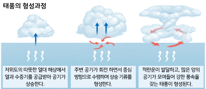  태풍의 발생 원리 (feat. 태풍의 눈)