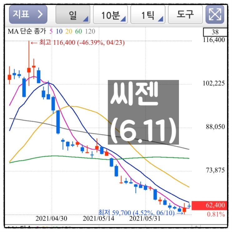  [미자의 주식일기] 씨젠(6.11)