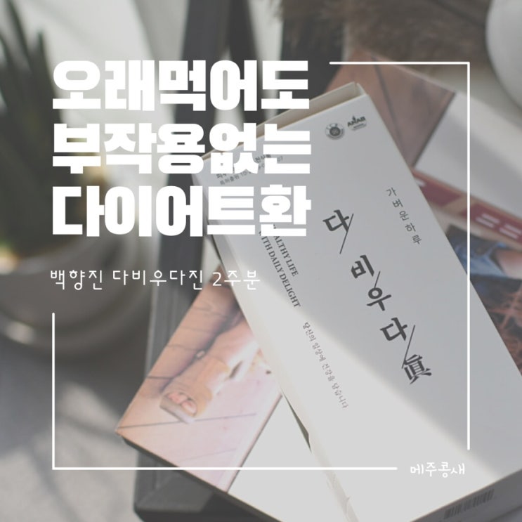  요즘 파우치필수품 다이어트 보조제 백향진 다비우다진