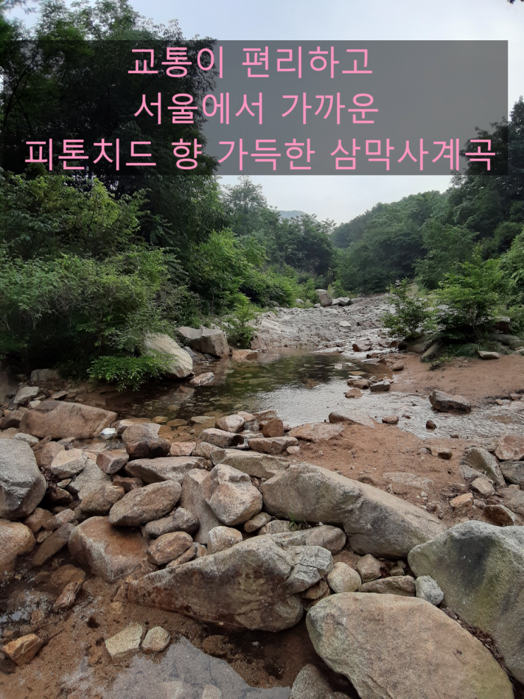서울 근교 계곡/ 안양 삼막사계곡/ 여름 가족 물놀이 계곡