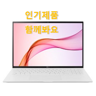  소유하고파 lg 그램 2021 16 물건 대리님이 알려줬어요.