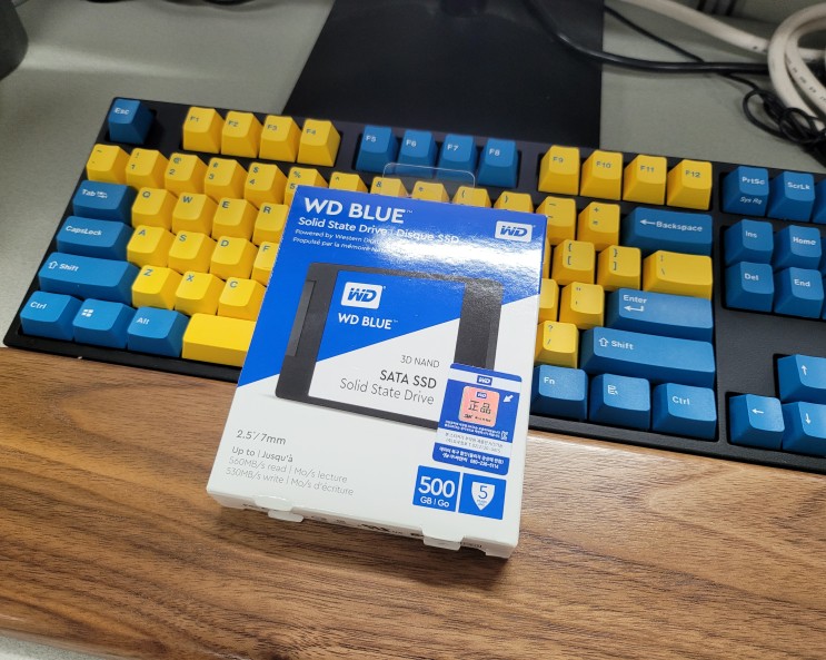 [체험단] 시간이 말해주는 믿음 - Western Digital WD Blue 3D SSD (500GB) (SSD, 노트북SSD, 가성비SSD)