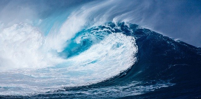 외로움이 쓰나미처럼 몰려올 때 외로움이 쓰나미처럼 몰려올 때