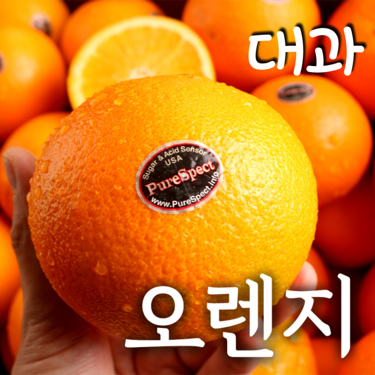 잘나가는 푸릇푸릇 고당도 블랙라벨 오렌지 캘리포니아오렌지 대과 250g, 오렌지 대과 250g내외 12과 추천합니다 잘나가는 푸릇푸릇 고당도 블랙라벨 오렌지 캘리포니아오렌지 대과 250g, 오렌지 대과 250g내외 12과 추천합니다