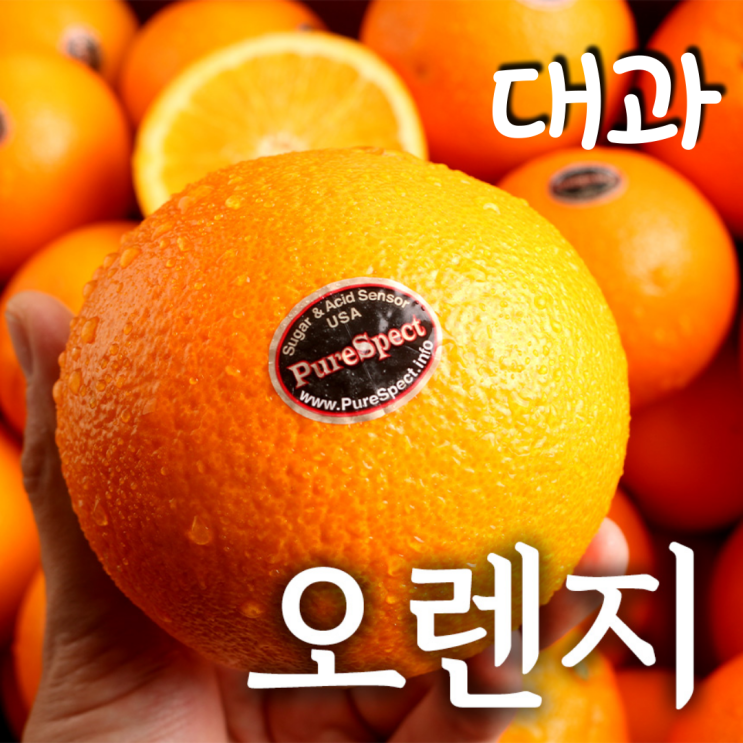 잘나가는 푸릇푸릇 고당도 블랙라벨 오렌지 캘리포니아오렌지 대과 250g, 오렌지 대과 250g내외 12과 추천합니다