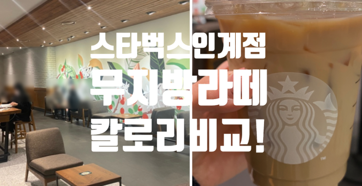  스타벅스 수원인계점 좌석공유 저칼로리 무지방라떼 그 맛은.