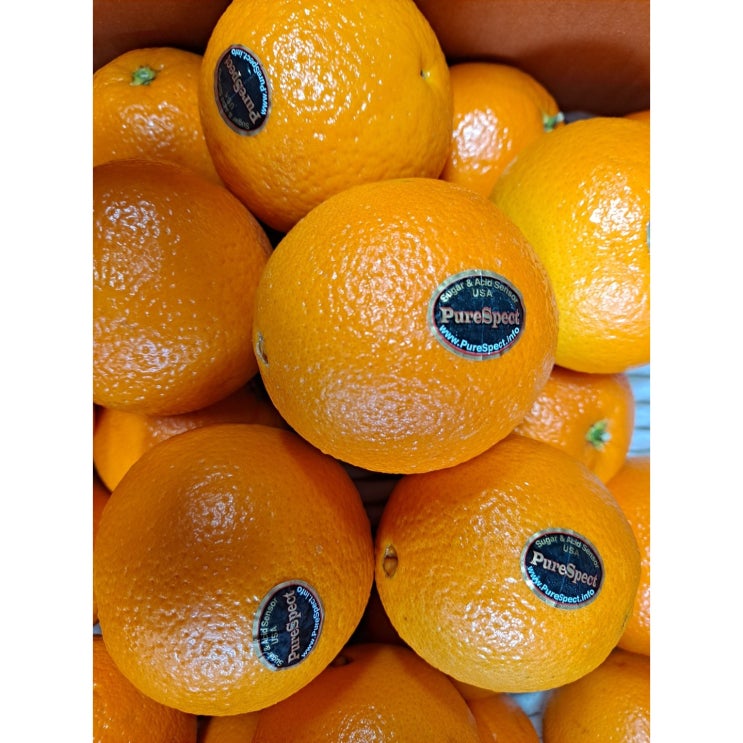 당신만 모르는 퓨어스펙 블랙라벨 고당도 오렌지 3kg 5kg 17kg, 소과 5kg 추천해요 당신만 모르는 퓨어스펙 블랙라벨 고당도 오렌지 3kg 5kg 17kg, 소과 5kg 추천해요