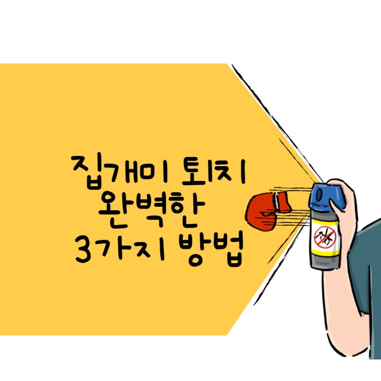  집개미 퇴치, 완벽한 3가지 방법