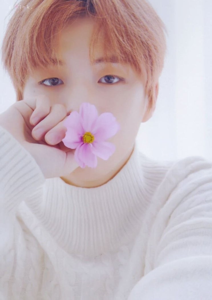  강다니엘, 가온차트 올해의 소셜핫스타상 / 데뷔기념일 투표하자요!