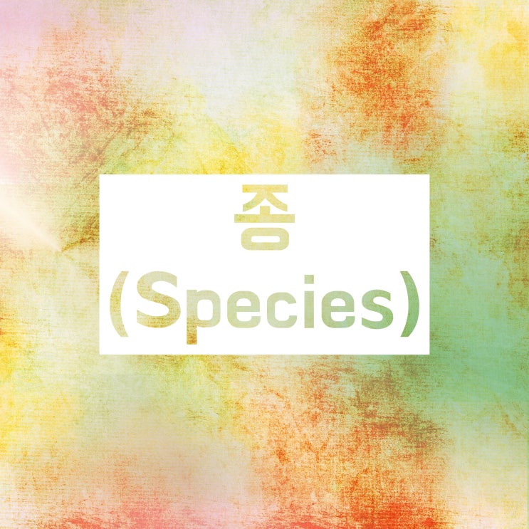 종속과목강문계 / 계문강목과속종 :: 이해하고 외워보자 종속과목강문계 / 계문강목과속종 :: 이해하고 외워보자
