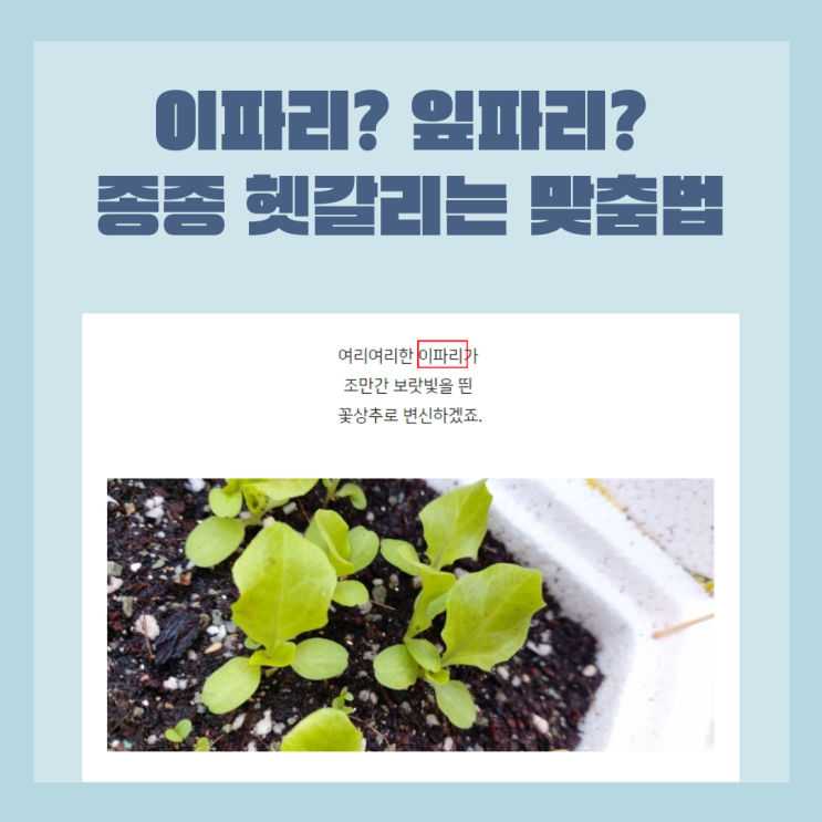 이파리? 잎파리? 종종 헷갈리는 맞춤법 이파리? 잎파리? 종종 헷갈리는 맞춤법