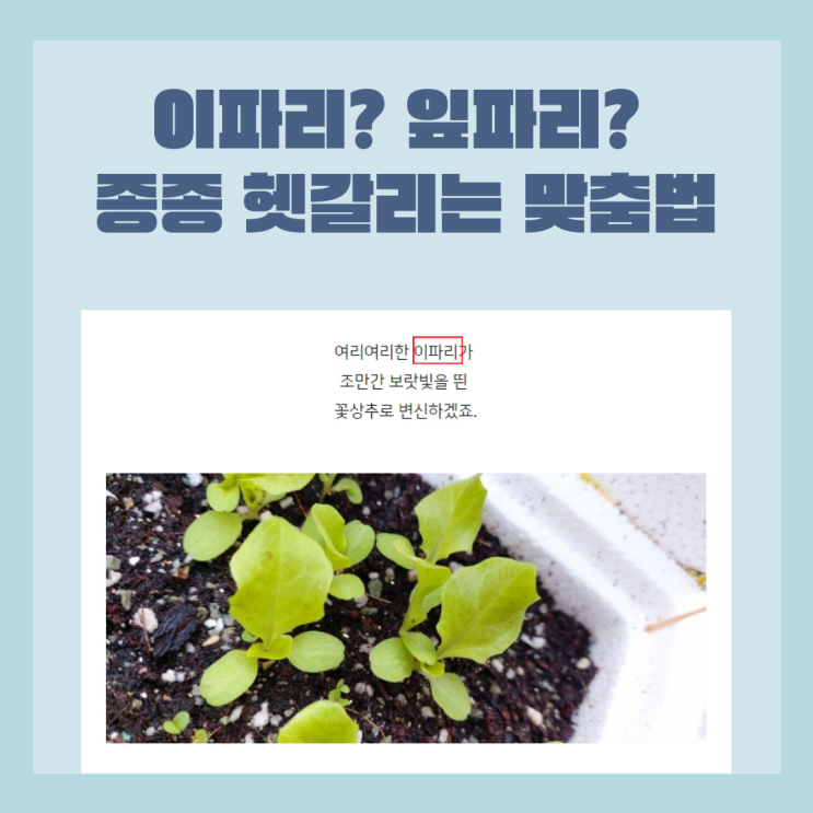 이파리? 잎파리? 종종 헷갈리는 맞춤법