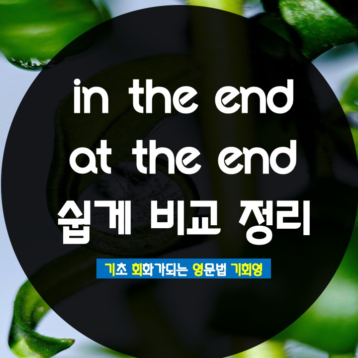 in the end / at the end 비교 정리 - 기회영