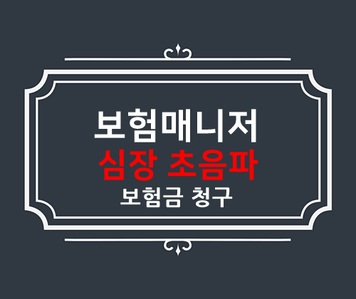  어린이 심장 초음파 검사 보험금 청구(태아보험)