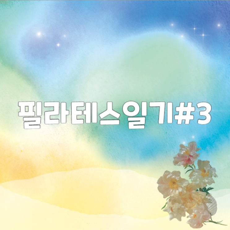  필라테스 3회차 일기 