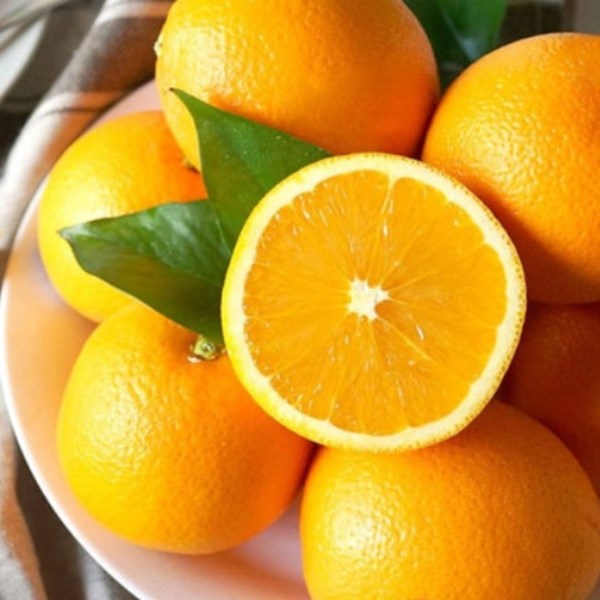 가성비 좋은 FUNET 네이블 오렌지, 1박스, 46_오렌지 중소과 10과 ···