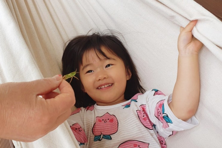  제주한달살기_여치와 사랑에 빠져버린 4살 언니