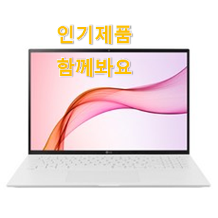 매력뿜는 LG전자 그램16 인기 LIST 추천입니다