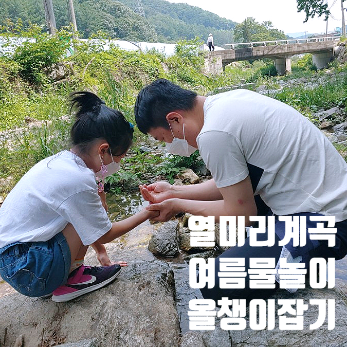 열미리계곡 올챙이잡기 여름물놀이 열미리계곡 올챙이잡기 여름물놀이