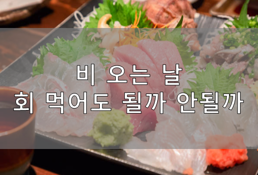  비 오는 날 회를 먹어도 될까 안될까 고민일 때